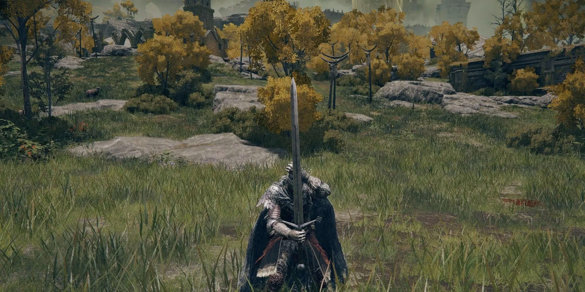 dominating-the-arena-my-guide-to-the-top-pvp-weapons-in-elden-ring-for-2026-image-0