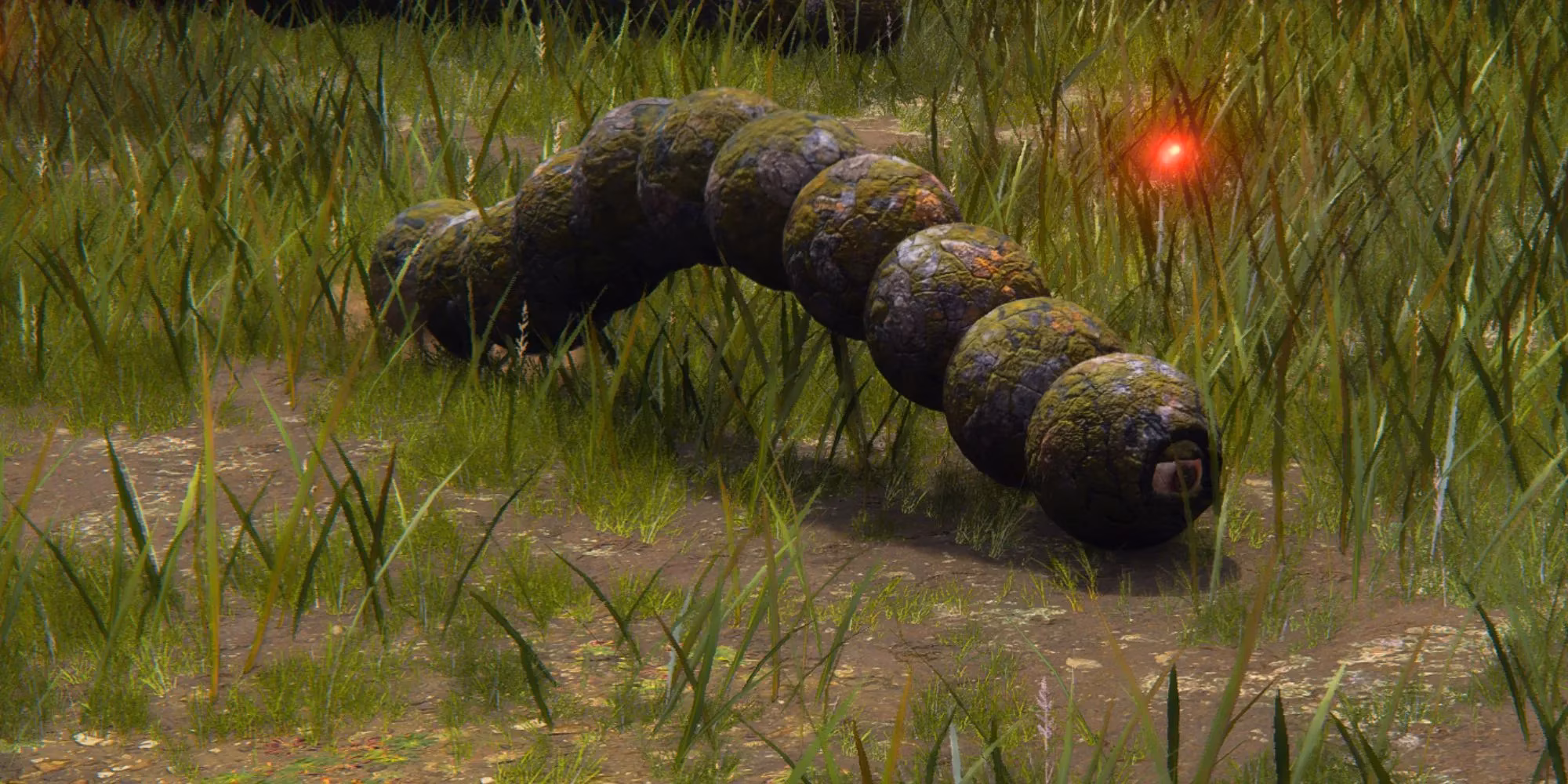 elden-ring-s-most-adorable-creatures-we-d-rather-befriend-than-fight-image-6