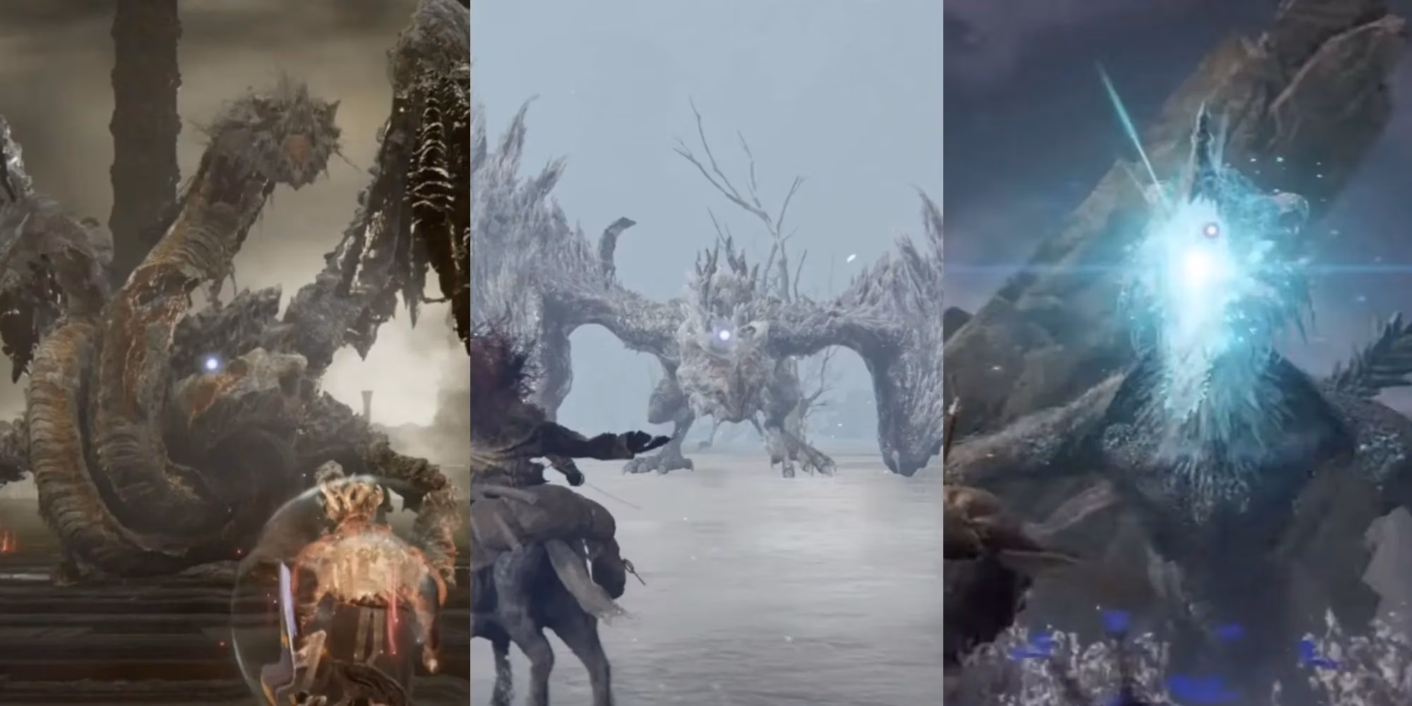 elden-ring-s-most-epic-dragon-boss-battles-a-tarnished-s-ultimate-trial-image-0