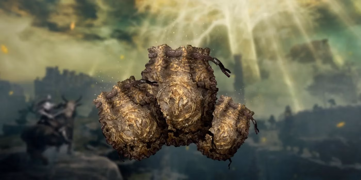 how-to-unlock-more-talisman-slots-in-elden-ring-a-guide-to-pouch-progression-image-0