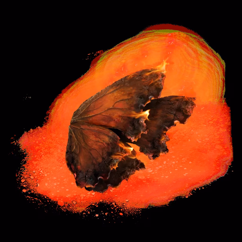 melina-s-mystery-unraveling-theories-from-elden-ring-to-shadow-of-the-erdtree-image-0