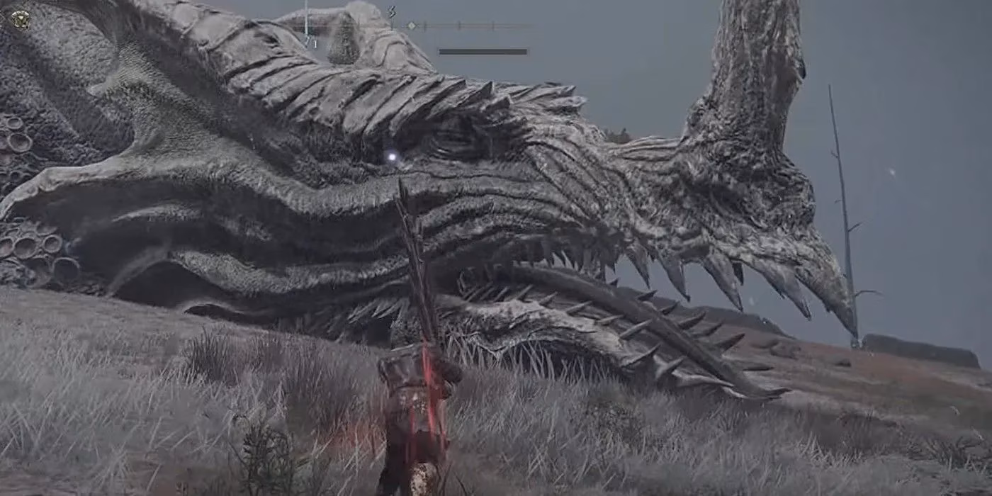 the-eternal-dilemma-of-greyoll-to-slay-or-not-to-slay-elden-ring-s-sleeping-mother-dragon-image-1